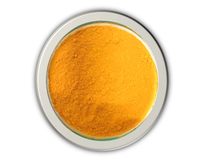 CURCUMIN - The Gold Standard Natural Bioactive
