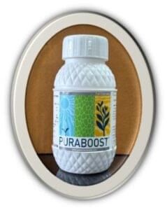 PURABOOST- Triacontanol